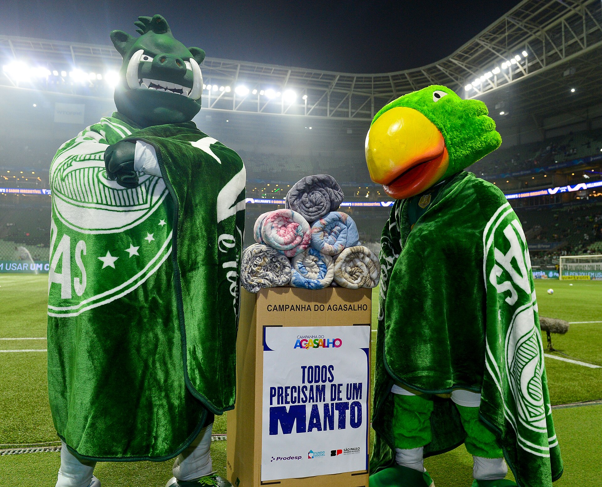 "Todos Precisam de um Manto" do Fundo Social de SP durante o jogo Palmeiras x Cruzeiro Local: Estádio Allianz Parque - SP Data: 20/07/2024 Foto: Francisco Cepeda / Governo do Estado de SP
