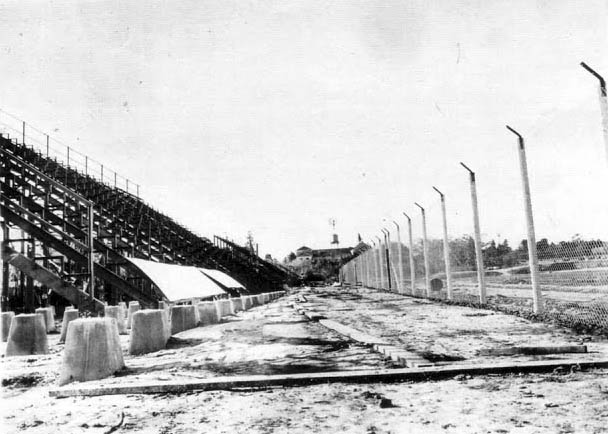 Tigre stadium