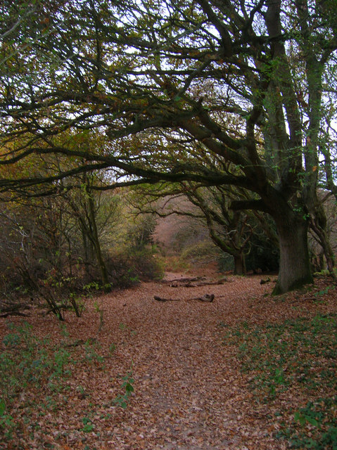 Bridleway to Milton Hide — in Hertfordshire. Taken from the end of Hempstead Lane. Another goes left out of shot heading towards the speedway stadium.
