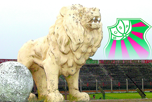 hoje o leão do parque está de aniversário!